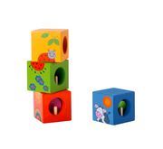 Discovery Cubes with Animal Puzzle