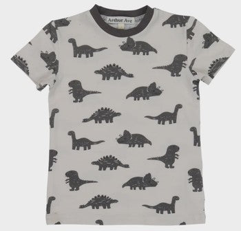 Dinosaur T-Shirt - Grey