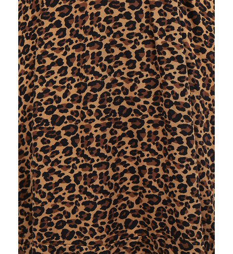 Leopard Print Dress