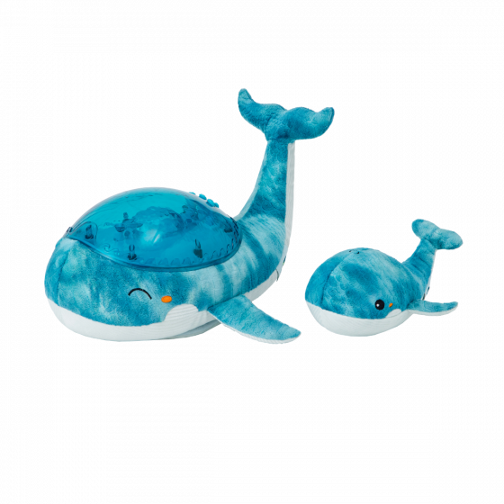 Tranquil Whale - Blue Family