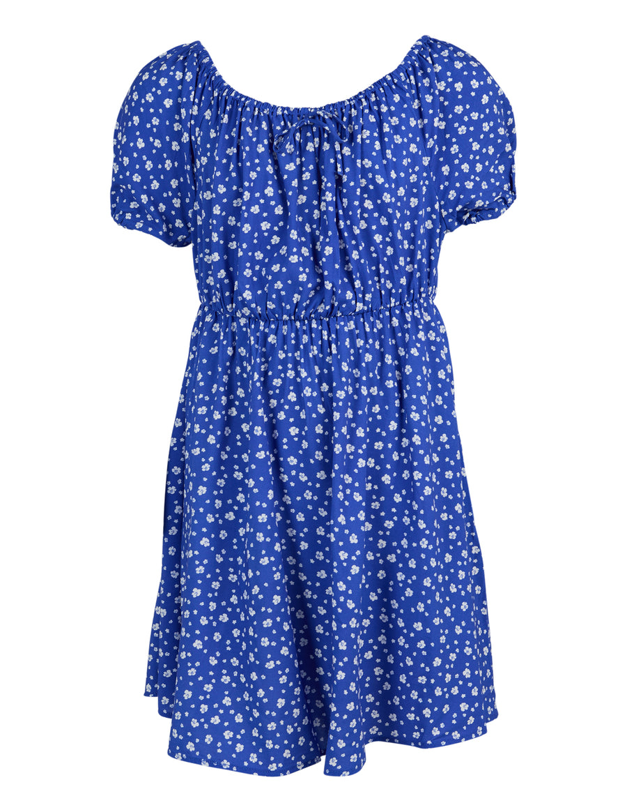 Siena Dress - Blue Print