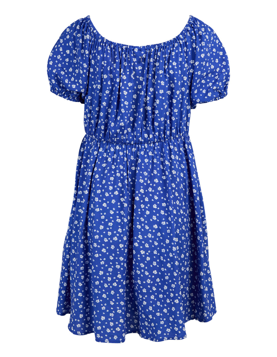 Siena Dress - Blue Print