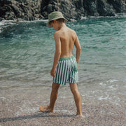 Board Shorts - Coastal Stripe