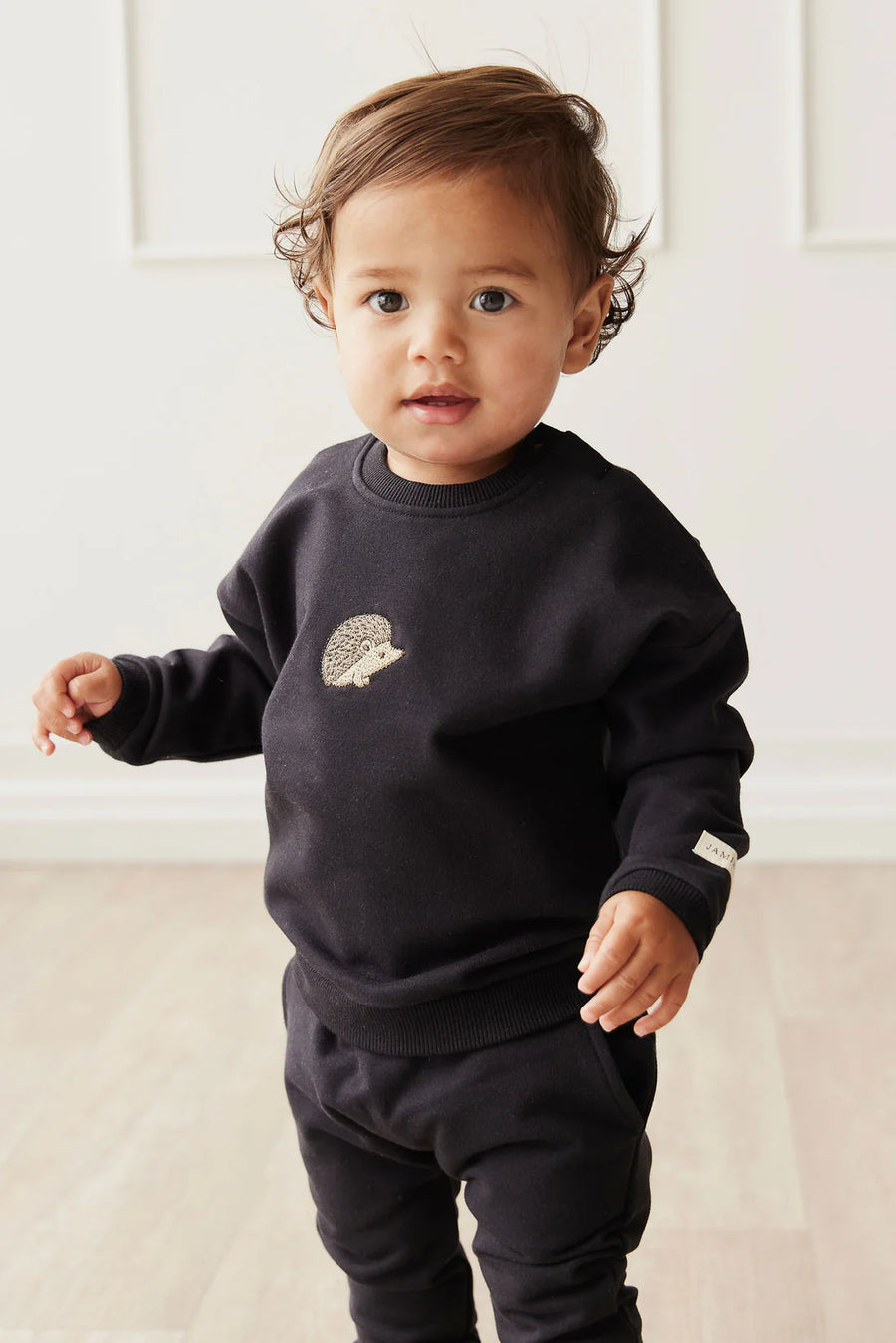 Damien Sweatshirt - Constellation Hedgehog