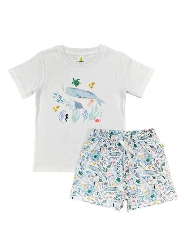 Ocean life matching set