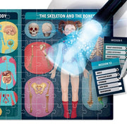 The Human Body under X-Ray