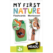 Flashcards My First Nature